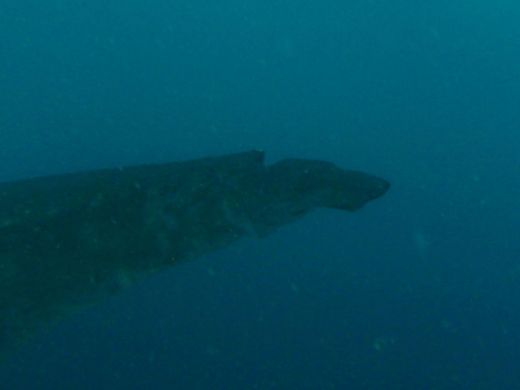 0ee5a255-8348-4dac-b270-79f2b487e511