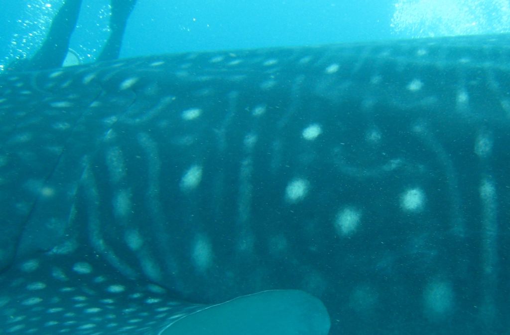 fd8e061e-8558-43b5-9dce-523a36f7188a