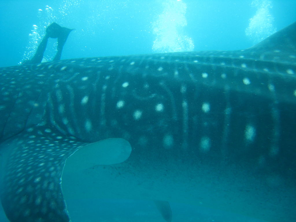 fd8e061e-8558-43b5-9dce-523a36f7188a