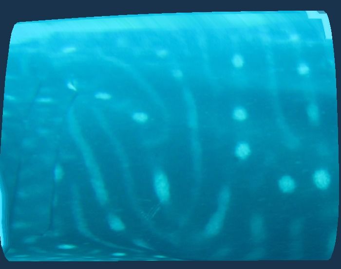 18dbf4e8-cd8e-46a5-94f8-cd178dd2d9ff