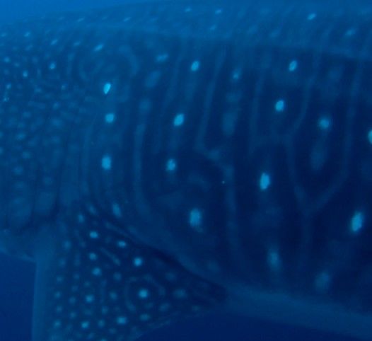 d035df8a-8fec-445e-9f47-4816e7bd67dd