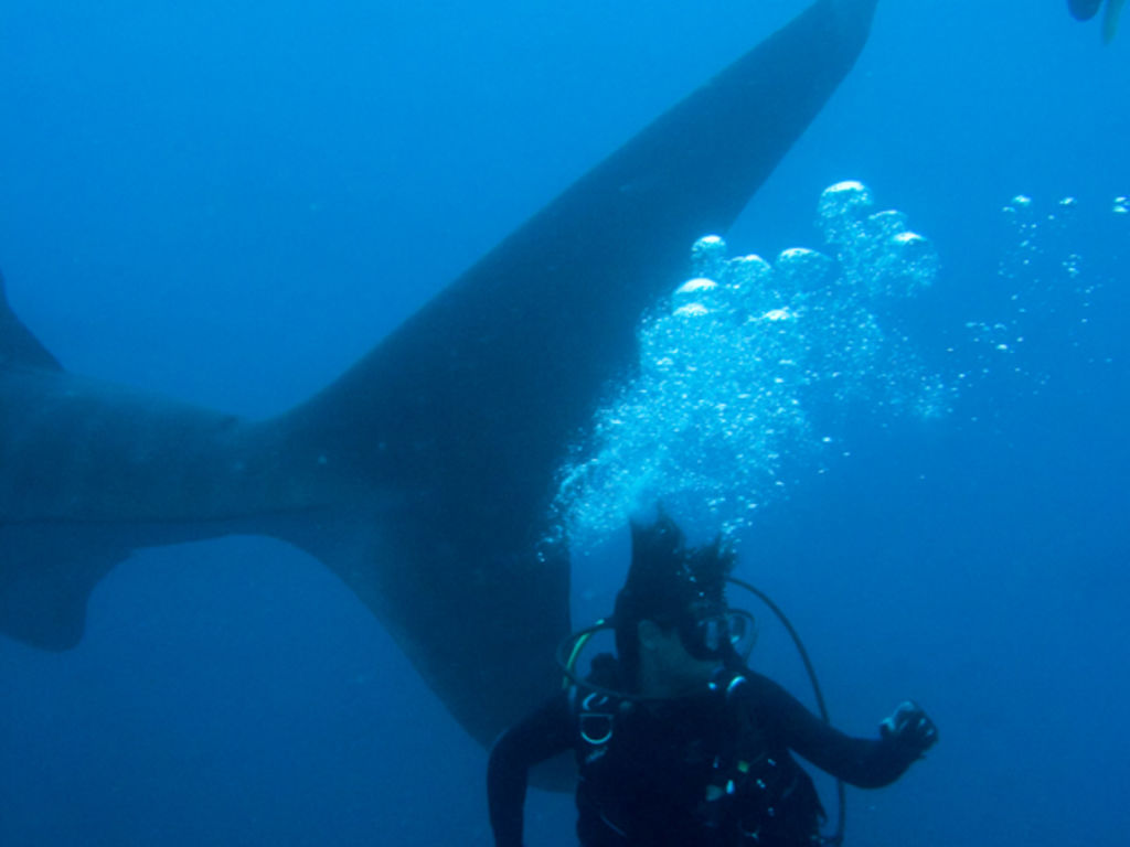 d035df8a-8fec-445e-9f47-4816e7bd67dd