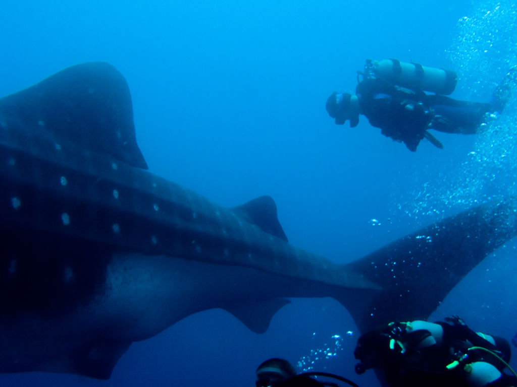 d035df8a-8fec-445e-9f47-4816e7bd67dd