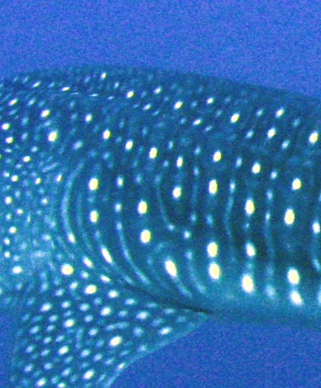 5fd6f32a-a52e-4e61-88a4-8c65a32b9ff9