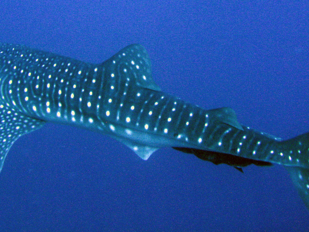 5fd6f32a-a52e-4e61-88a4-8c65a32b9ff9