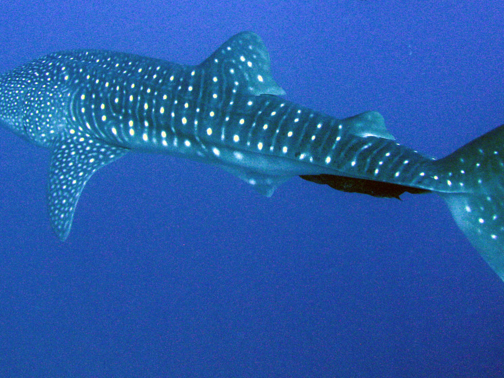 5fd6f32a-a52e-4e61-88a4-8c65a32b9ff9