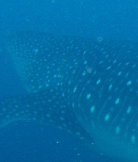 bfdf4beb-6031-46f2-8b83-62a47bc0f9eb