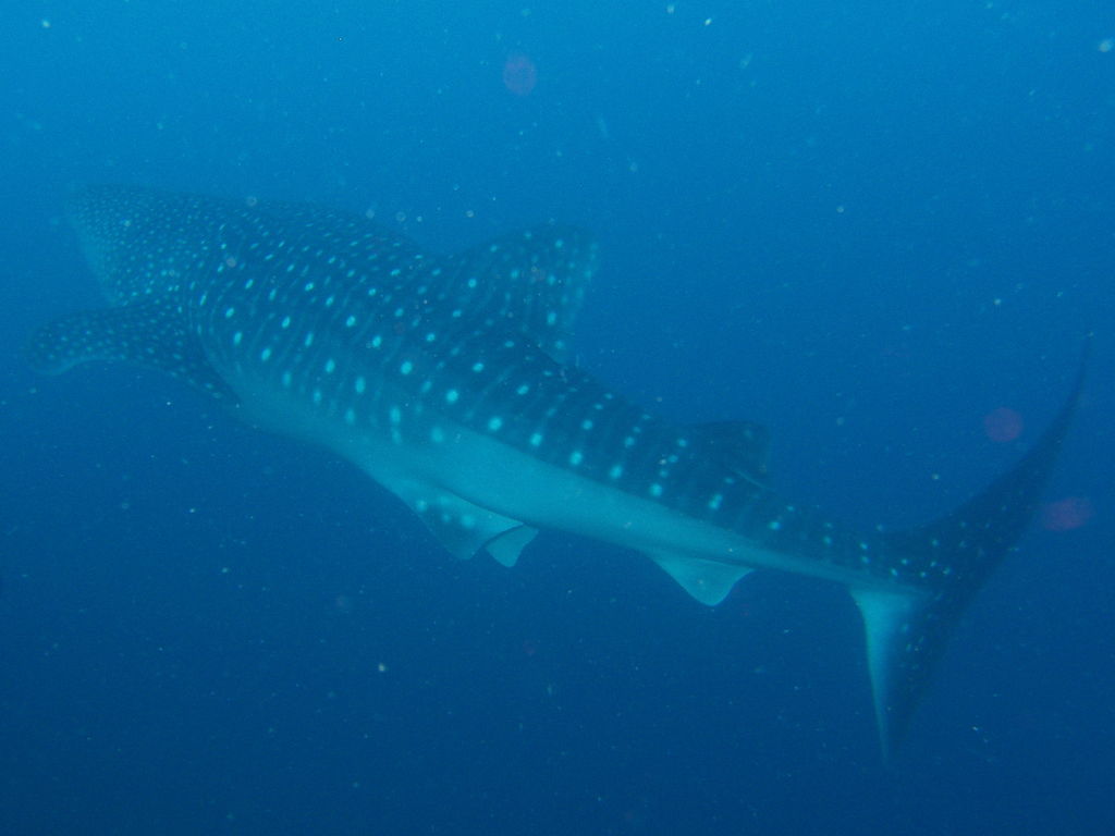 bfdf4beb-6031-46f2-8b83-62a47bc0f9eb