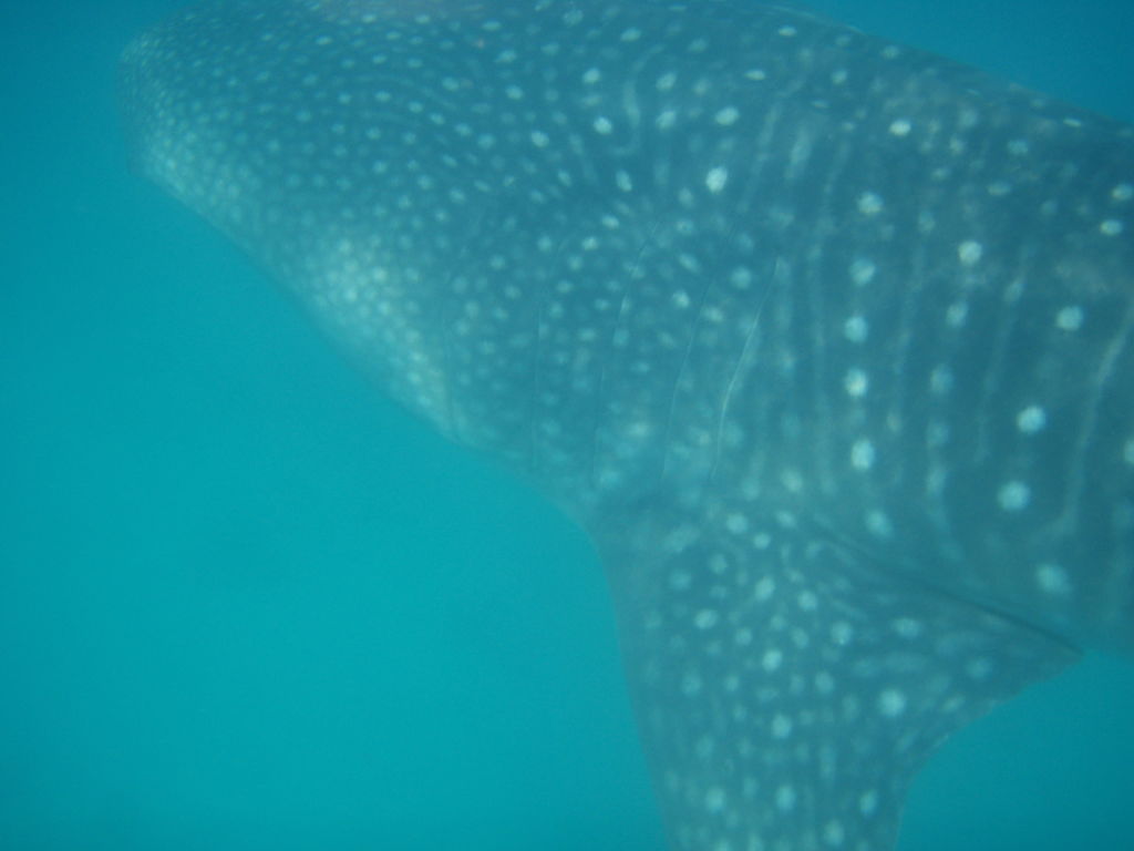 a4880831-28b7-40a7-9124-3d775b665e3d