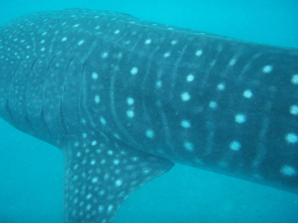 a379abd3-c639-4f92-aff9-fa4e468aa8f0