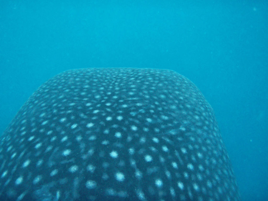 a379abd3-c639-4f92-aff9-fa4e468aa8f0