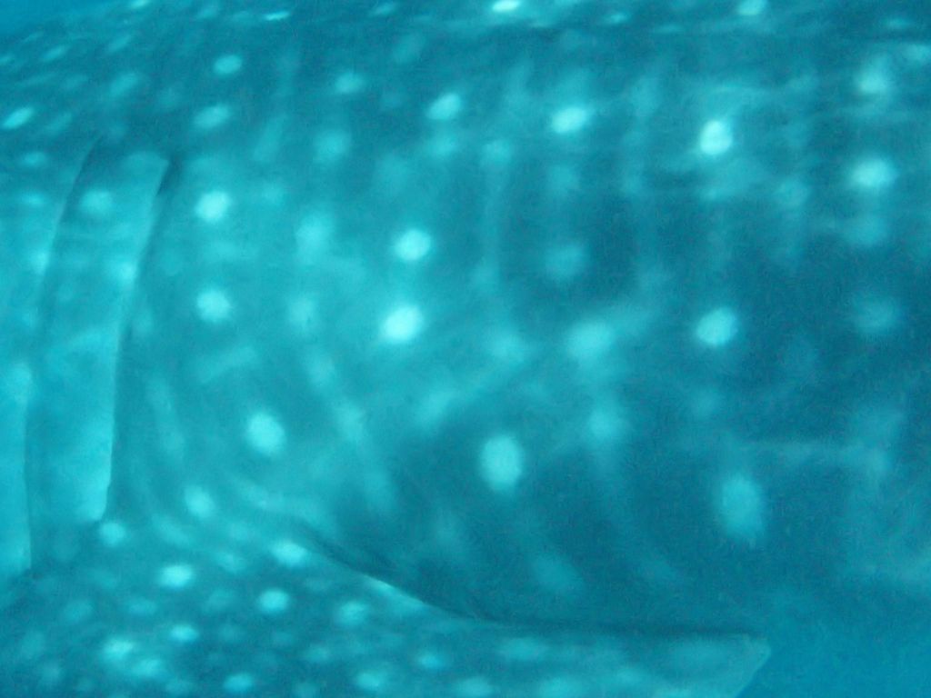 a379abd3-c639-4f92-aff9-fa4e468aa8f0