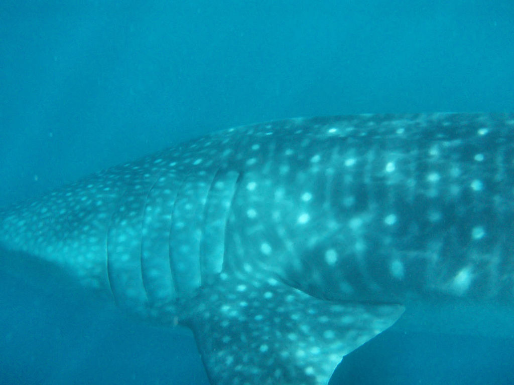 a379abd3-c639-4f92-aff9-fa4e468aa8f0