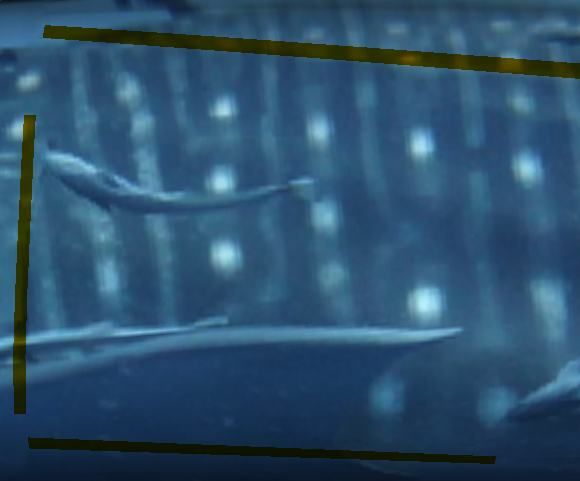 93599409-f479-4592-a6a5-ea145cfd6166