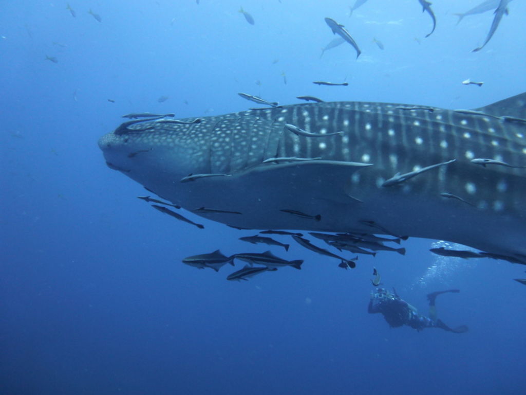 93599409-f479-4592-a6a5-ea145cfd6166