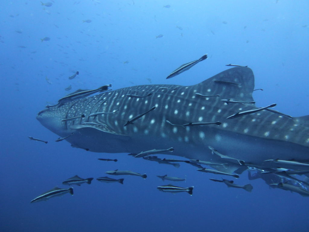 93599409-f479-4592-a6a5-ea145cfd6166