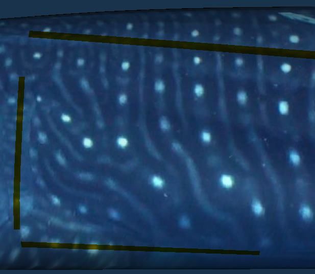 95adfbbd-be30-4a46-b73c-c2e1659a219f