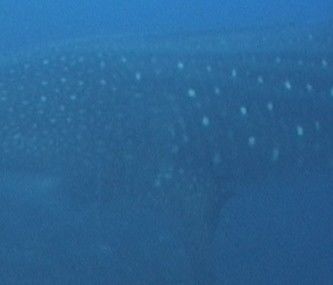 2c9efe5c-14e4-43b3-a4d3-d258279d25ad