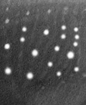 2c9efe5c-14e4-43b3-a4d3-d258279d25ad