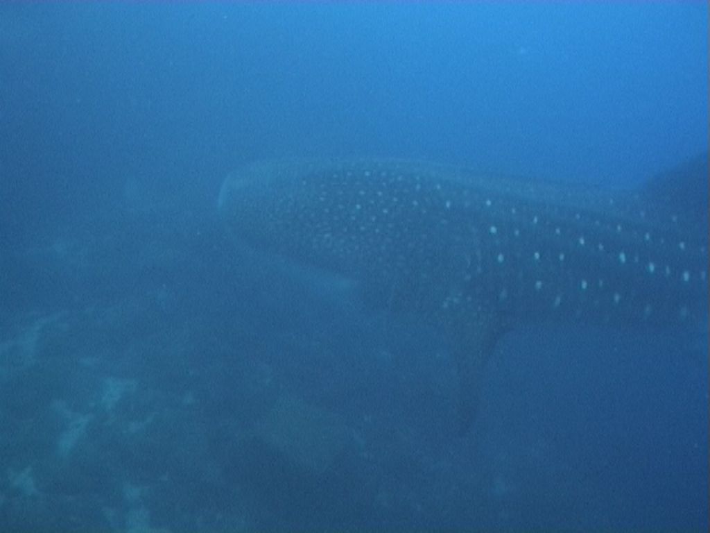 2c9efe5c-14e4-43b3-a4d3-d258279d25ad