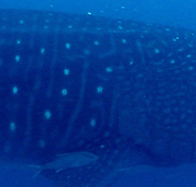 fba89242-fb32-45ce-952d-79008d15ac81