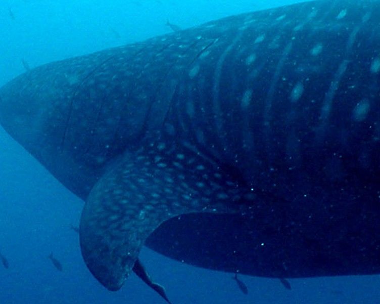 fba89242-fb32-45ce-952d-79008d15ac81