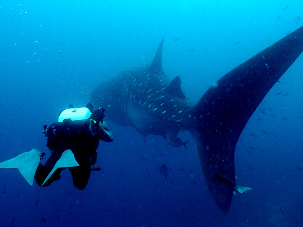 fba89242-fb32-45ce-952d-79008d15ac81