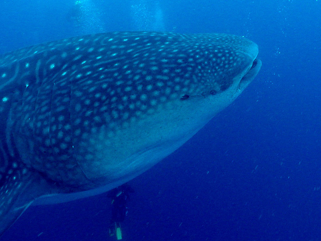 fba89242-fb32-45ce-952d-79008d15ac81