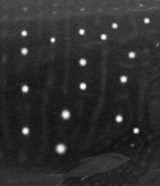 fba89242-fb32-45ce-952d-79008d15ac81