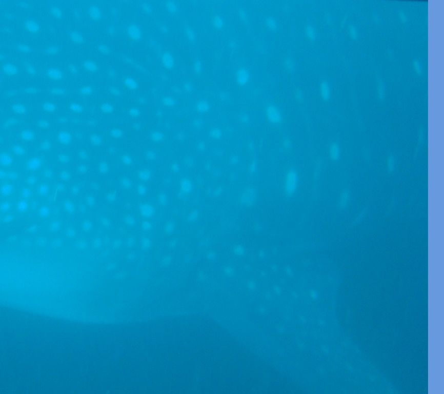 97296087-af03-4bdc-bea3-3ef6c1374871