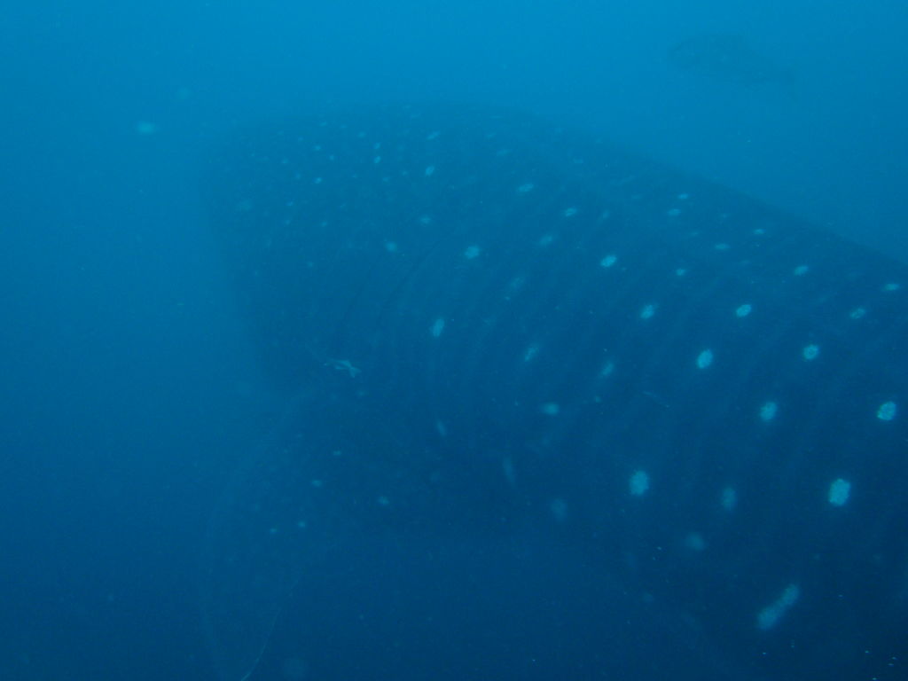 6600d4d7-83bc-41e6-96b1-14eb65879ee7