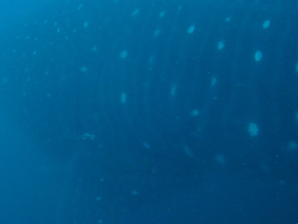 6600d4d7-83bc-41e6-96b1-14eb65879ee7