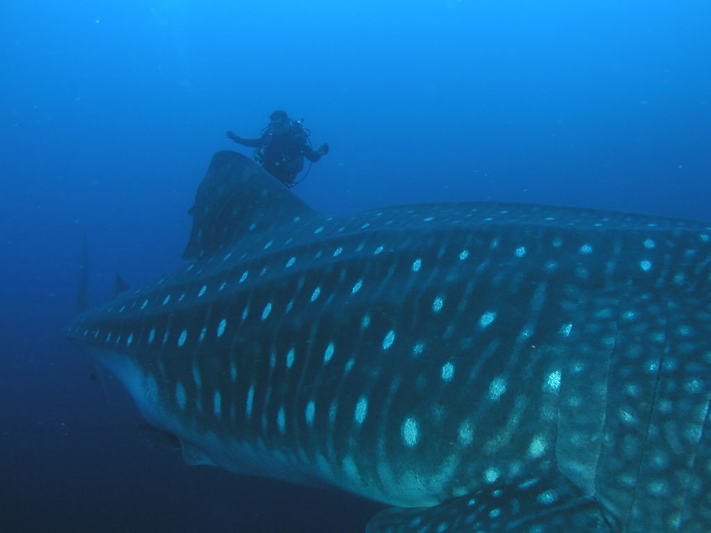 8c876f23-f057-4096-8d50-2819e3ae273b