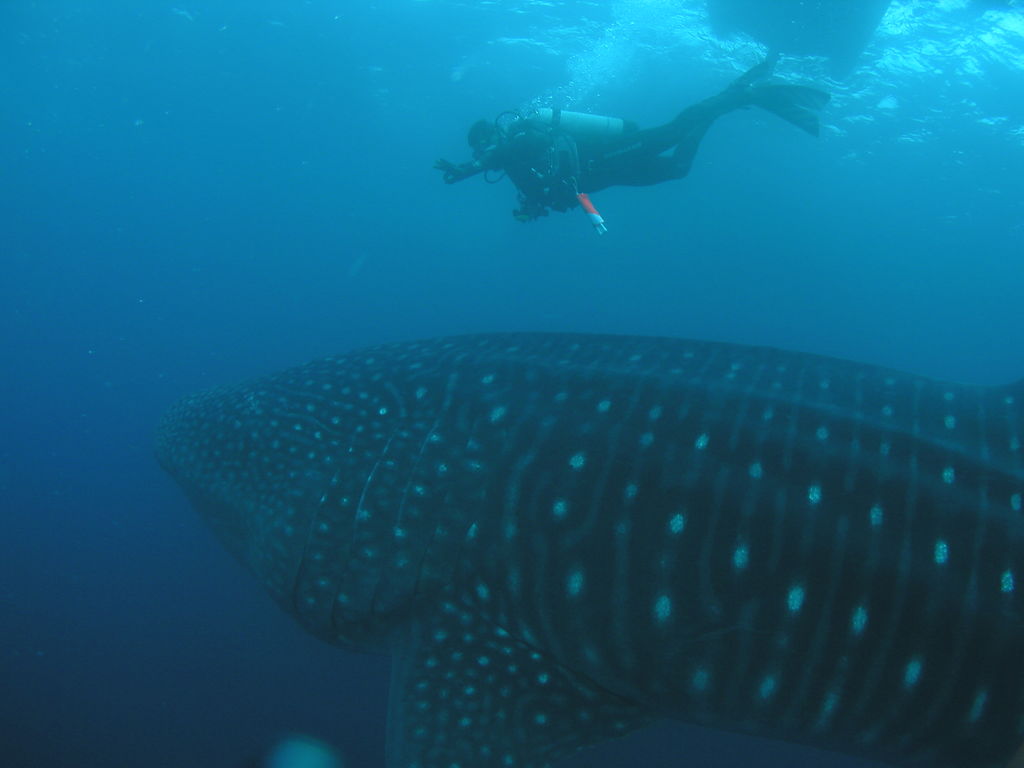 8c876f23-f057-4096-8d50-2819e3ae273b