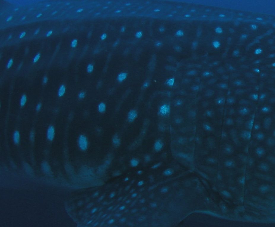 8c876f23-f057-4096-8d50-2819e3ae273b