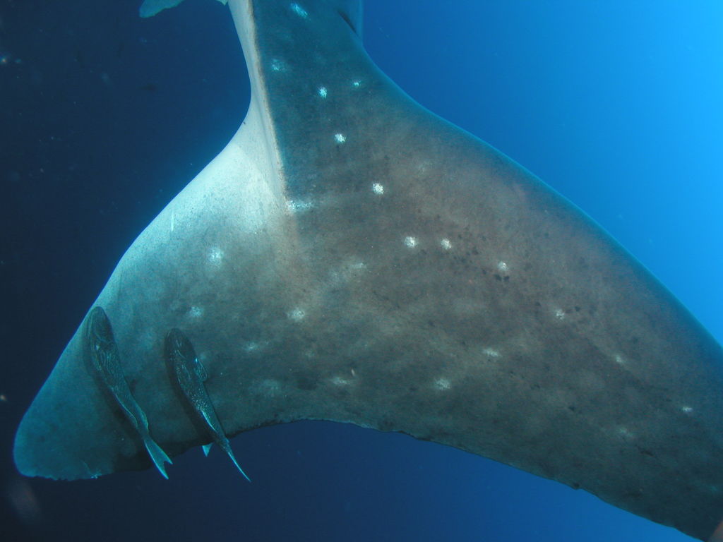 301a934b-2a78-4e10-847a-654d919bfa91