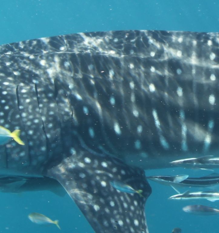 f4606cad-57c2-436e-a3dd-a95ad0bb9b4a