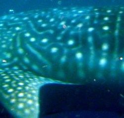 ad9f65a0-aa91-4b00-b031-b2a8bb866be6