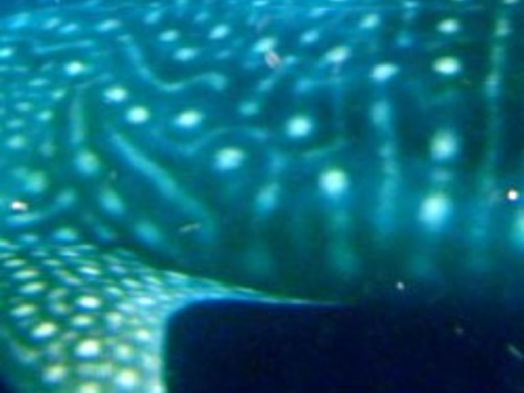 ad9f65a0-aa91-4b00-b031-b2a8bb866be6