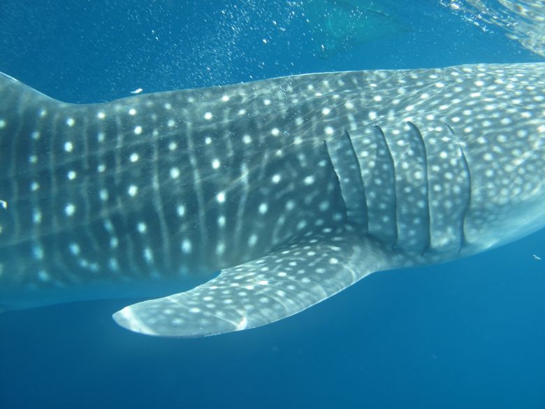 d195a761-531a-46fb-b459-ca186f3111a4