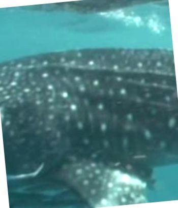 2f6827af-fbc5-4544-a255-b5566c907d10