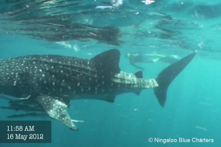 2f6827af-fbc5-4544-a255-b5566c907d10