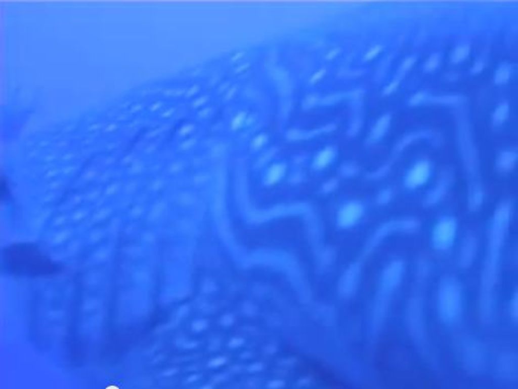 c82c84a1-84ed-41ed-8c82-fbe0f909d4b2