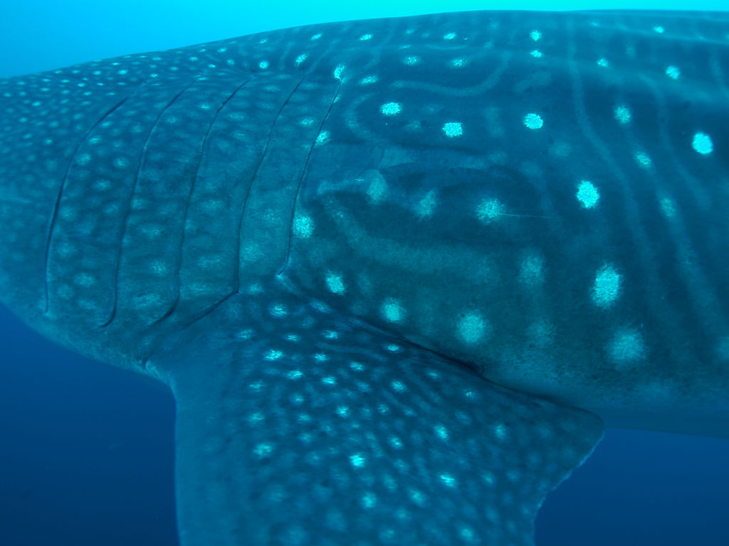 426eb768-8983-4f4d-916f-a8090c49f7d2