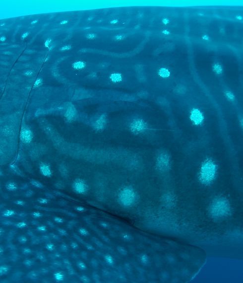 426eb768-8983-4f4d-916f-a8090c49f7d2