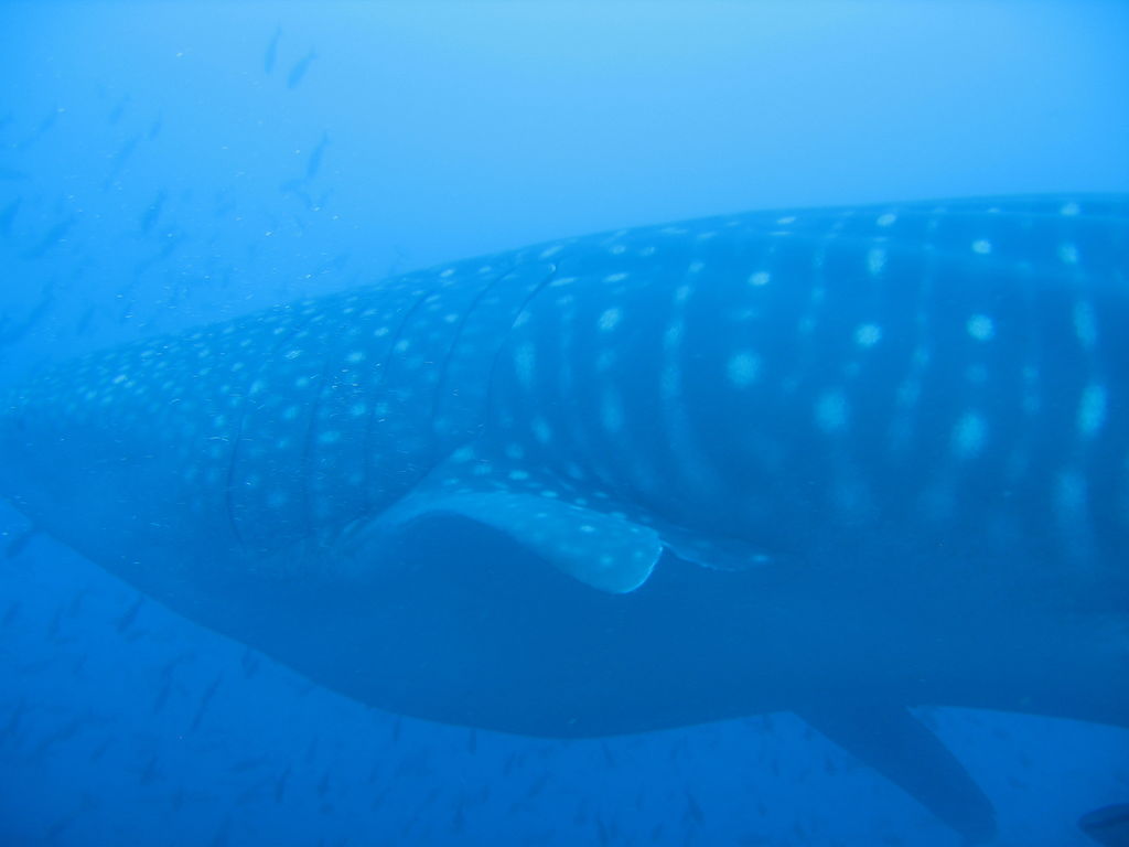 3fea1bec-37e2-4a35-9c4a-716c5a5f7bfd