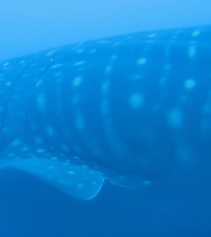 3fea1bec-37e2-4a35-9c4a-716c5a5f7bfd