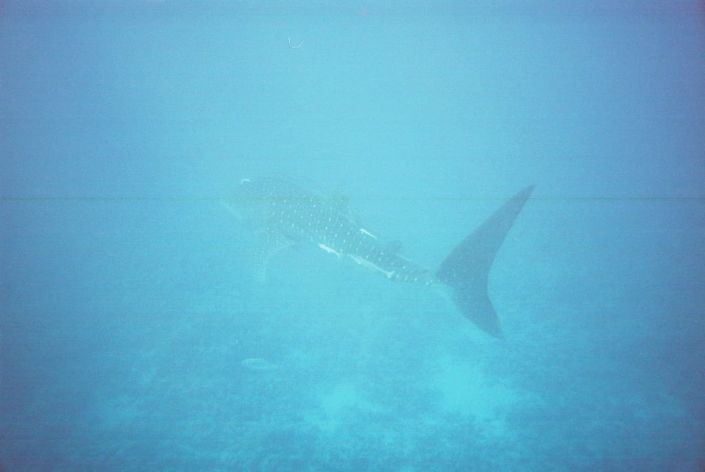 c3be1ecb-7706-4ece-9498-becbcba15495