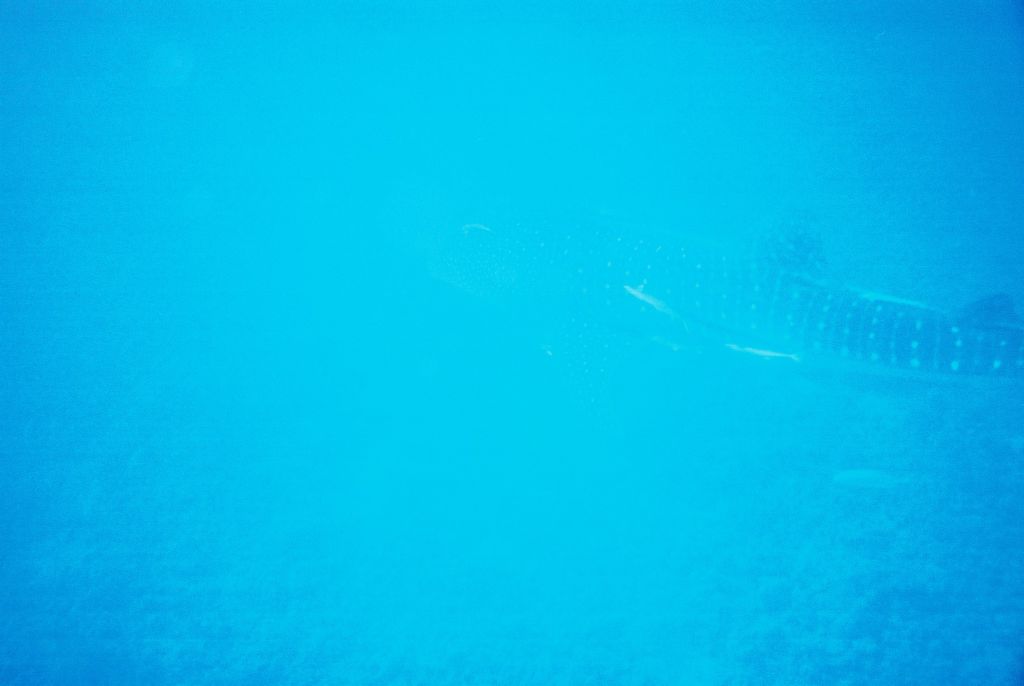 c3be1ecb-7706-4ece-9498-becbcba15495