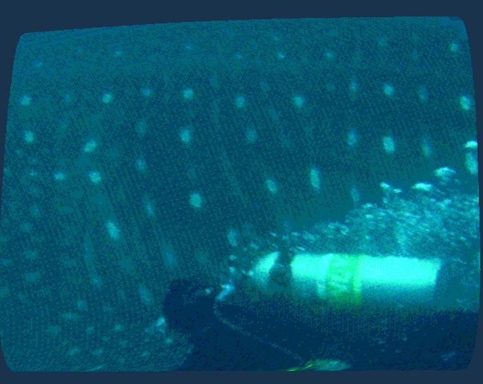 21b82013-4a07-407e-b210-521e63955d18